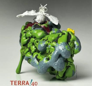 Terra 40