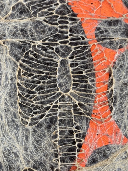 Worteltapijt Diana Scherer